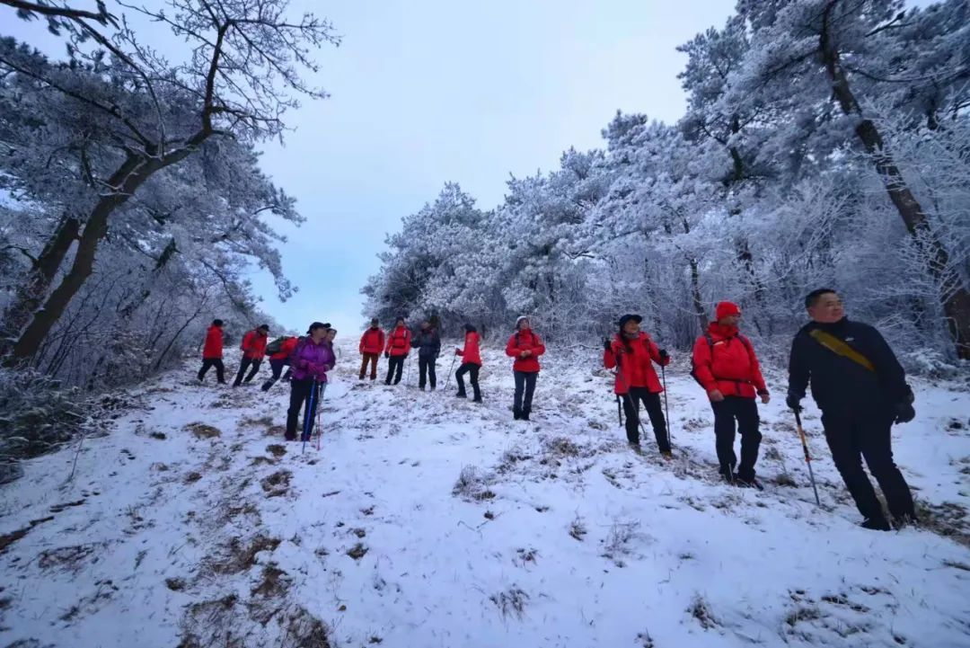 美景|华顶迎今年首场雾凇！天台山美景刷爆朋友圈！