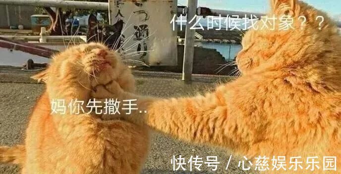 催婚|96年小伙被催婚催的得了焦虑症,愁到失眠!聊天记录亮了