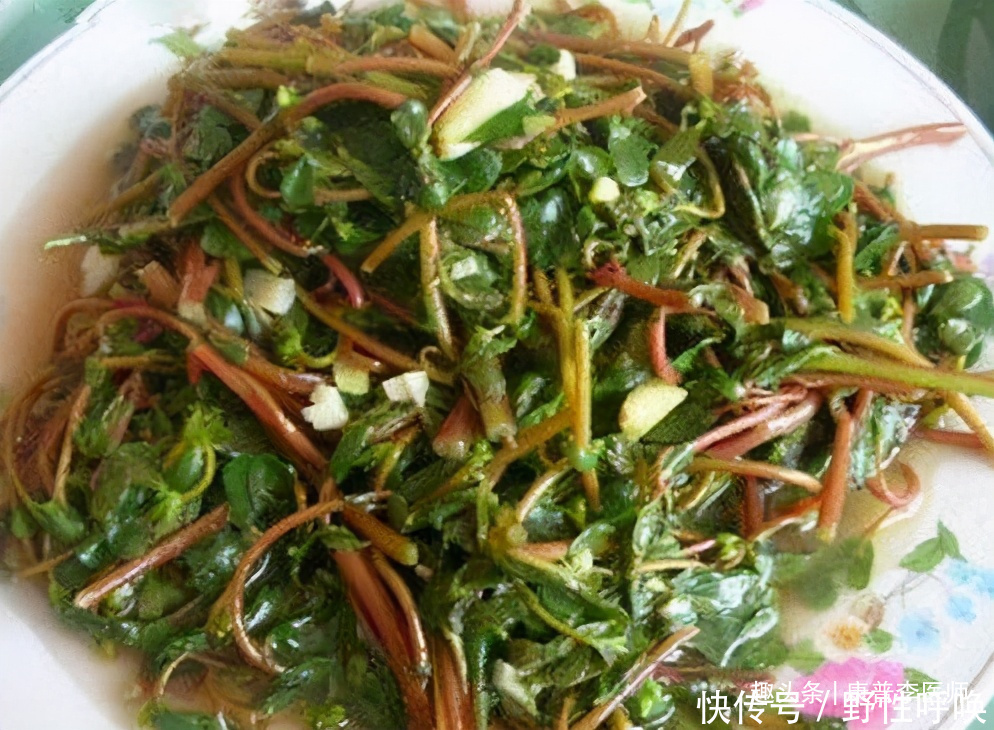 食物|女性坚持吃的食物,延缓衰老,改善肤质,越吃越年轻