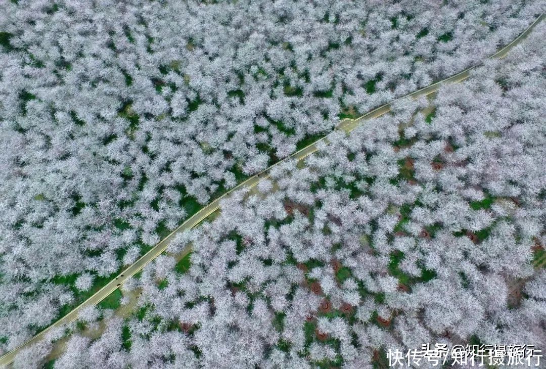 珍藏无数极致美景，最近红遍抖音的小众目的地：贵州