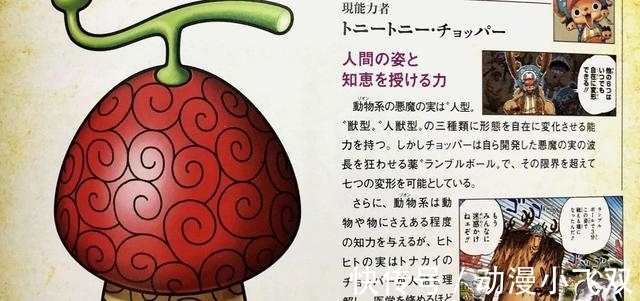 海贼王|海贼王:绝密的恶魔果实图鉴,除了天龙人之外,这四人有幸得见