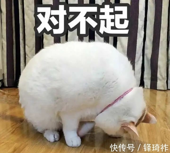 knock|yyds, nbcs, xswl 都是什么意思?00后“网络黑话”你认识几个?