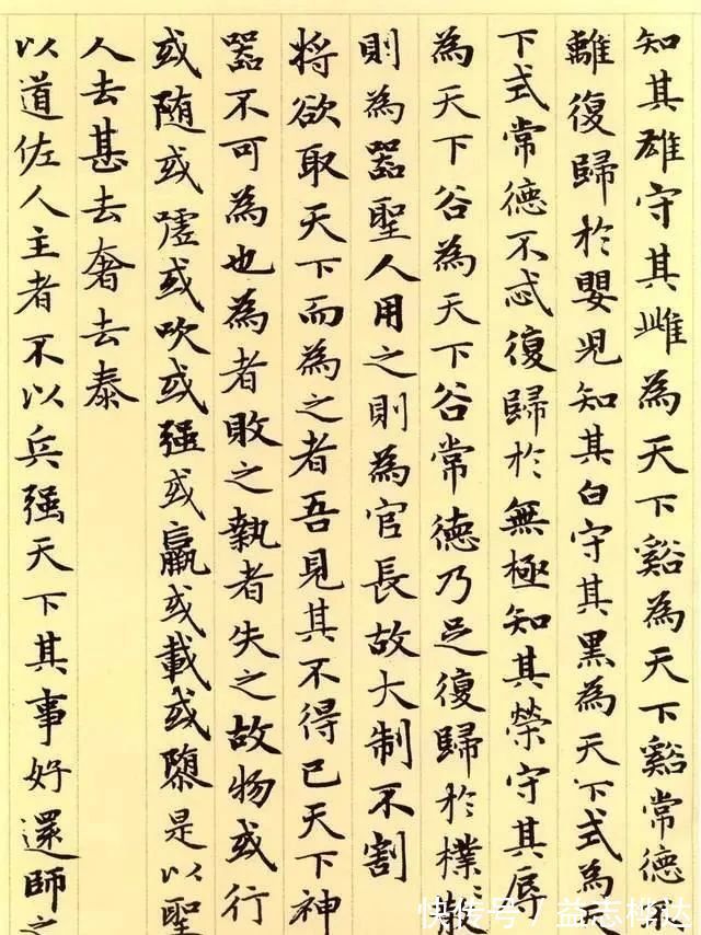 元朝#老子63岁写的小楷,秀雅华丽,流传后世700多年