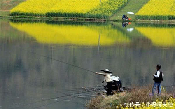 仲春开始钓水库,这些地形是鱼窝和鱼道,渔获大多这里出的