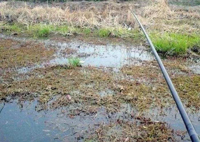 钓法|冷天钓鱼,到底传统钓好还是台钓更合适?按我说的做,准没错