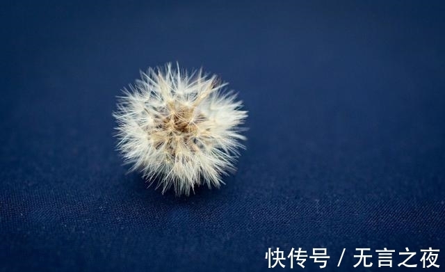 旧爱|近几天，桃花盛开，剧痛锥心，旧爱知返，不惧磨难，此生不弃