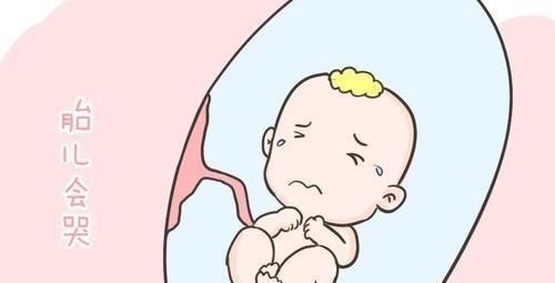 准妈妈|孕妈们有没有好奇过胎宝宝在肚子里都干什么?看完后,真的超忙!