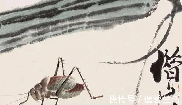 写意花鸟画!绘画名家齐白石,绘画作品也会被贬低,原因其实很简单