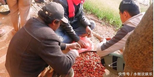 结婚|喜马拉雅山区农村结婚酒席,随礼500卢比,看看吃的什么菜