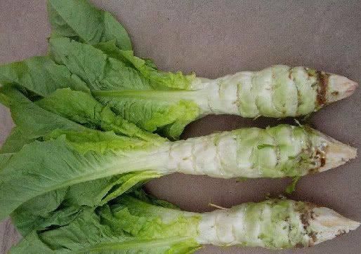 脱氧野尻霉素|高血糖“最怕”这几种食物，坚持每天吃，慢慢逼走糖尿病