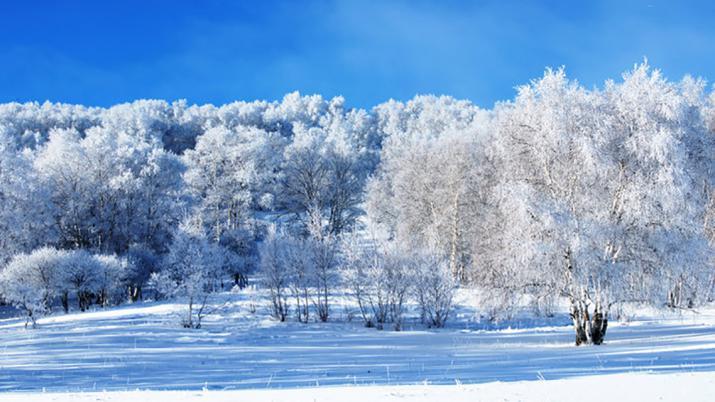 陆聿@陆游富于哲理的一首诗,最后两句人尽皆知,却不知前两句也很重要