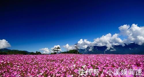 后半生|哪个日子出生的女人,难逃富贵,漂亮又有钱,后半生注定享福