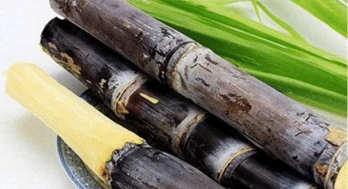 桂圆|这些水果堪称“胎儿杀手”,怀孕期间,孕妈尽量不要吃别再犯错