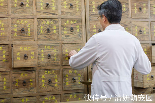 蒲公英|一张“修补胃壁”的方子！两味药，化解淤血，补平糜烂，缓解胃痛