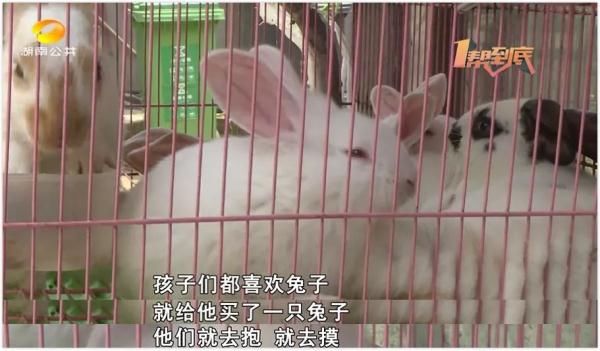 孩子|多名孩子中招，头皮溃烂脱发，家里养宠物的请注意