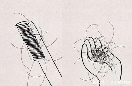 头发|6味中药泡水喝，补气血，白发没了，发量多了，显年轻