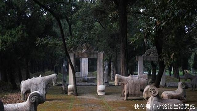 上不落乌鸦|孔子墓地为何“上不落乌鸦，下不招蛇”你看它用什么建的
