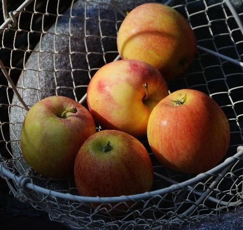 好处|吃苹果好处多,但不要与一物同食,却有很多人不清楚!