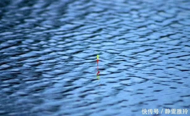 钓鱼|窝料打下去后,怎么都不发窝,到底是没有鱼,还是死窝了