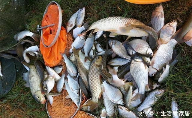 冬季|冬季钓鲫鱼,5宜5不宜!套路不正确,再好的饵料都没用