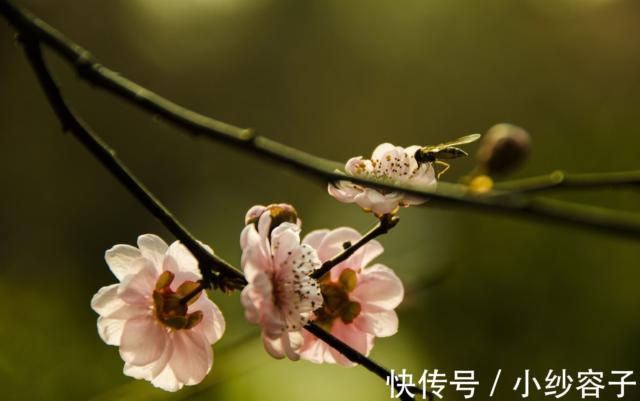 今夜月明!一首凄美的唐诗,道尽了人生苦味,后两句尤其经典