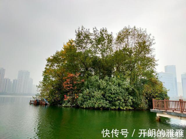 梅溪湖@《五绝·冬日游梅溪湖》逍遥碧水边,湖清树自闲