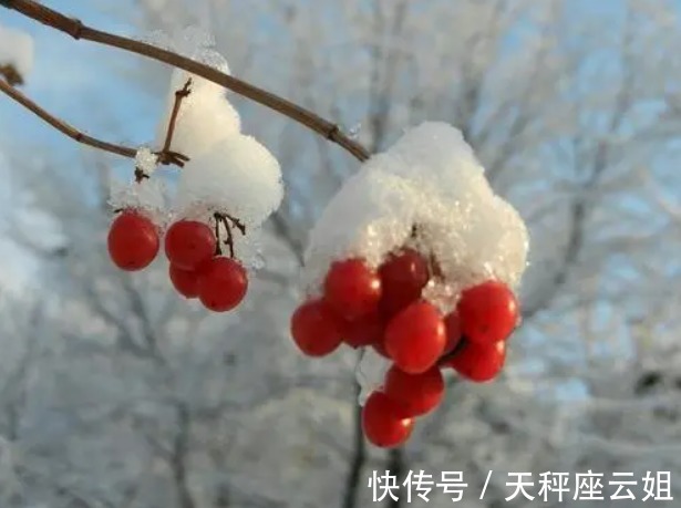 岁末|岁末有偏财运，但不可孤注一掷的四个星座