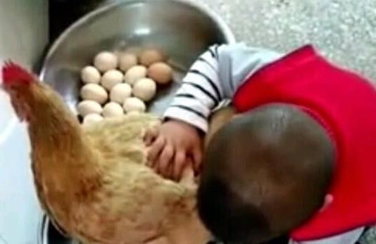 父母们|妈妈在卫生间洗衣服,听到外面有动静,走进一瞧笑啦