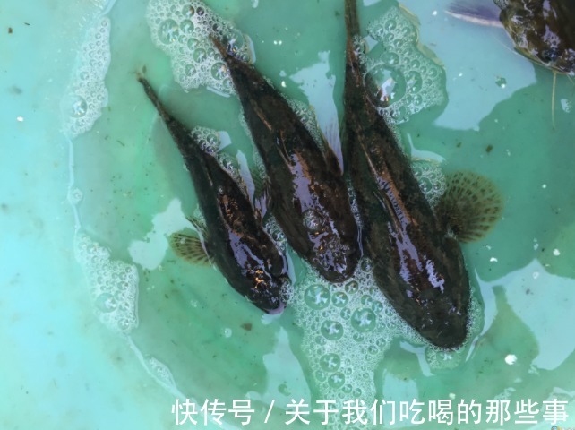 营养|这5种鱼没营养,对人体有害,早被拉入“黑名单”,但很多人爱吃