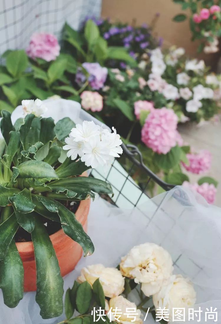 130㎡大露台，花1年改造成“花草蔬果园”，体验屋顶上的田园生活