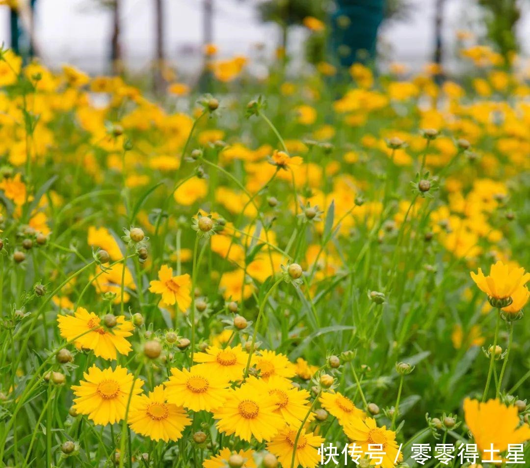 物业管家|全襄阳人，快看这份《中产阶级致富宝典》，有钱人的快乐真想不到！