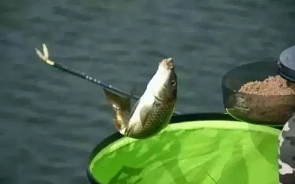 钓鱼:这样一套浮漂调钓“秘诀”,今天分享给粉丝钓友,建议收藏!