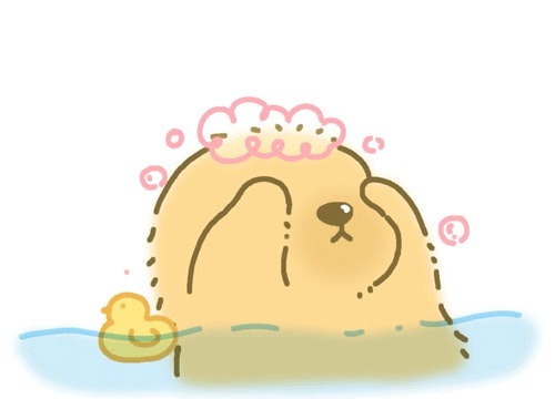 |可爱沙雕文案丨今天没有偷到段子,可以偷偷亲你一下吗。