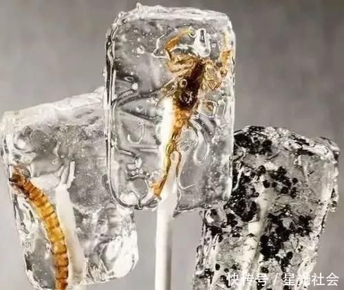 下嘴|看了就“难下嘴”的4种奇葩零食,图3让男生羞涩,图4吓得扔掉