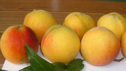 冬病夏治|女性天生有课爱美的心,秋季常吃三种食物,排毒抗衰老,祛皱养颜