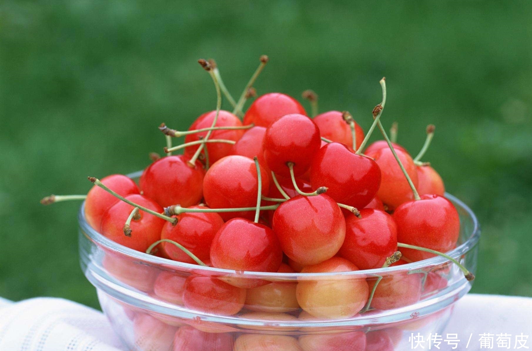 玉米须|尿酸高别担心,常吃5物,尿酸降得快,痛风不来扰