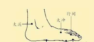 脾经|脾，后天之本！老中医带你品味人体脾经大药！补脾通络，胜吃补药