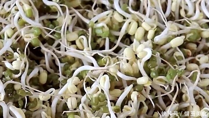 做法|想吃绿豆芽别再买,教你在家生,一碗绿豆生一大盆,做法超简单