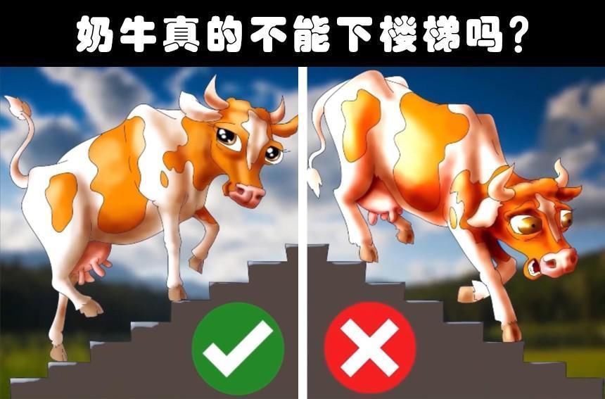 莫诺威|有趣事实这个世界上存在着的8个奇怪的冷知识