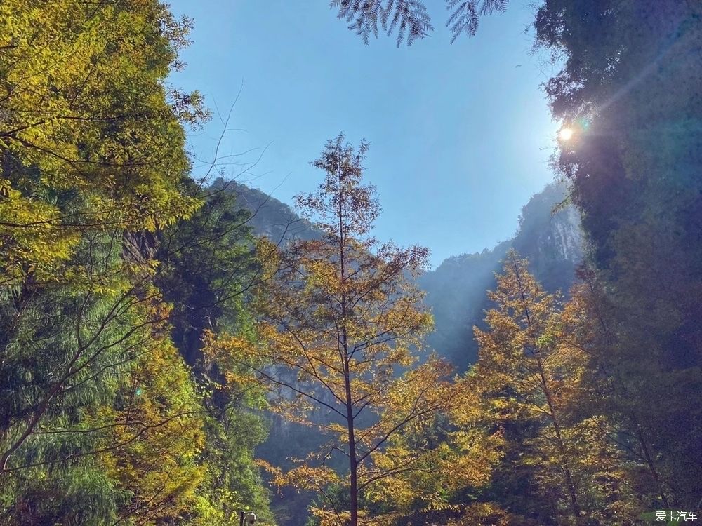 探岳|探岳三刷武隆天生三桥