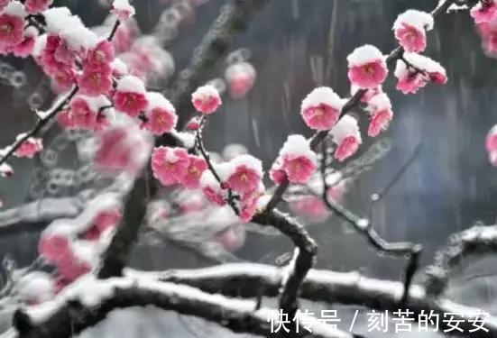 山村咏怀|一至十, 数字诗词, 太美了!