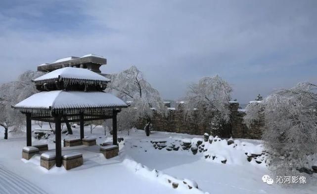 雪后王莽岭，美得不要不要的！