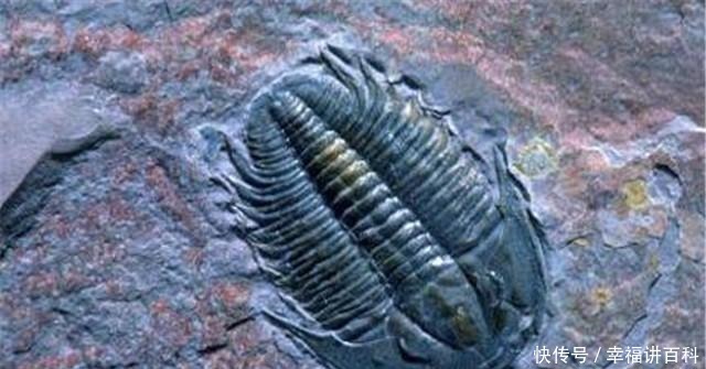 文明|人类或在轮回中循环, 考古家给出3个证据, 推测结果令人大跌眼镜!