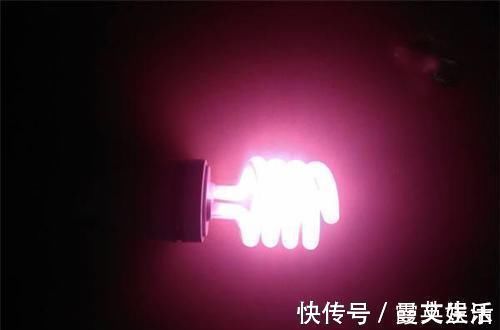 家里光照不好又想养花很纠结?此3个方法好用又实在,圆你养花梦