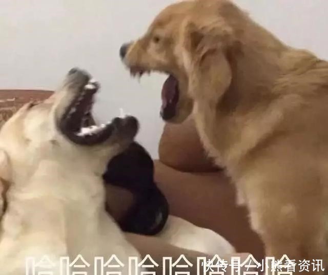买家秀|“亲，你睡了吗把照片删了，我把钱退你”哈哈哈哈