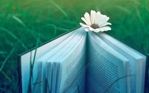 写作目|阅读随想怎么写?