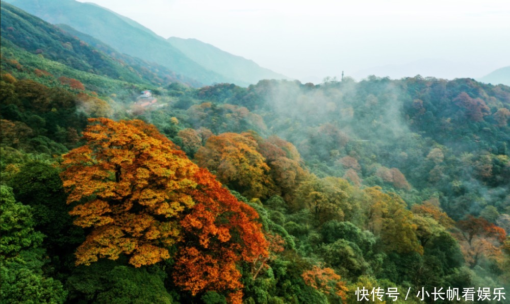 猫儿山|【免费门票】猫儿山又红了！人少景美还免费，来这就够了