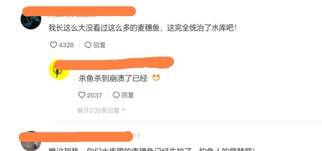 江西一水库麦穗鱼成灾,当地老乡一天能搞上千条,杀鱼杀到崩溃!