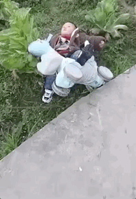 |搞笑GIF趣图:老铁,不得不说,你真的是个勇士!