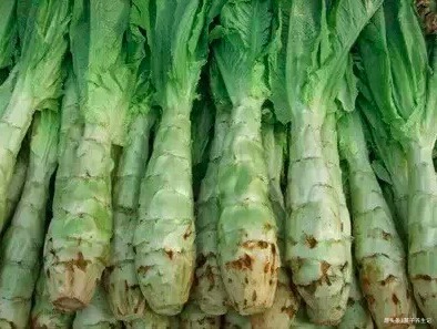 禁忌|莴笋好吃却不能乱吃,春天吃莴笋有一大禁忌,还很多人不清楚